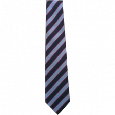Lanark Primary Tie