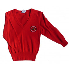 Braidwood Primary Cotton V-Neck Jumper