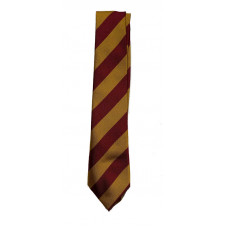 Coalburn Primary Tie