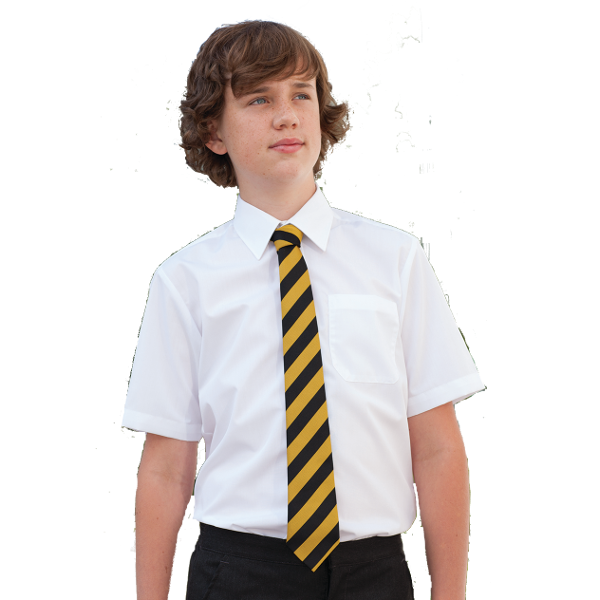 Boys Shirt White Short Sleeve (pack of 2)