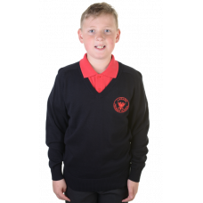 Lanark Primary Cotton V-Neck Jumper