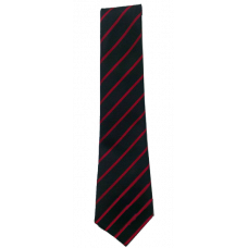 Carmichael Primary Tie