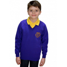 Robert Owen Primary V-Neck Sweatshirt