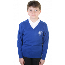 Woodpark Primary Cotton V-neck Jumper
