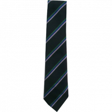 Woodpark Primary Tie