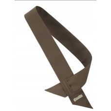 Brownie Sash
